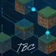 The BlockCraft Club Genesis Pass