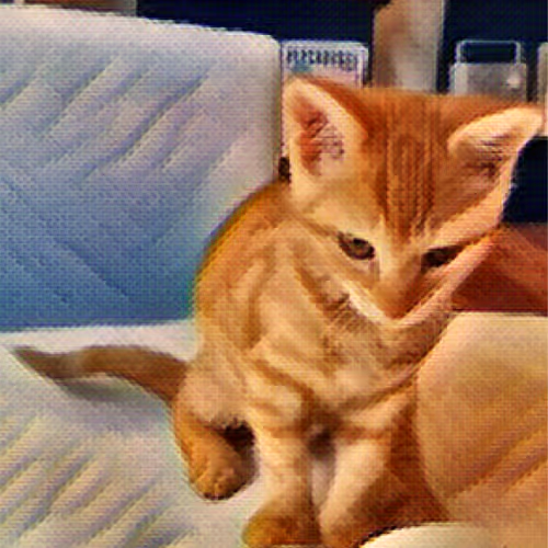 The Cat and Me