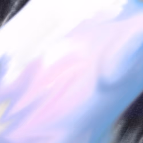 The City Collection...