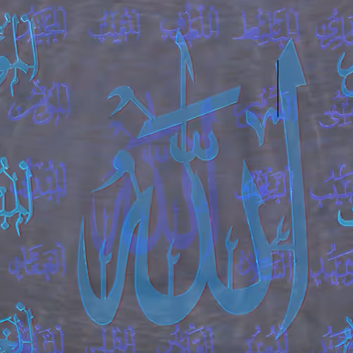 The DAR Project Collection