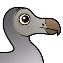 the dodo club - old