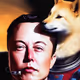 Elon of the Doge