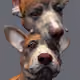 TheDogKings