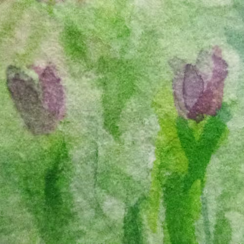 The Dummy Watercolorist - old