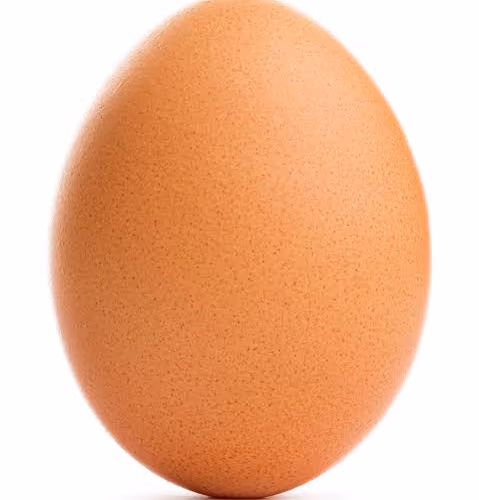 TheEgg_NFT