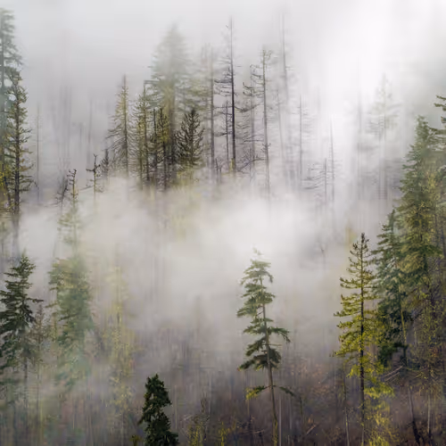 CryptographicWilds - old