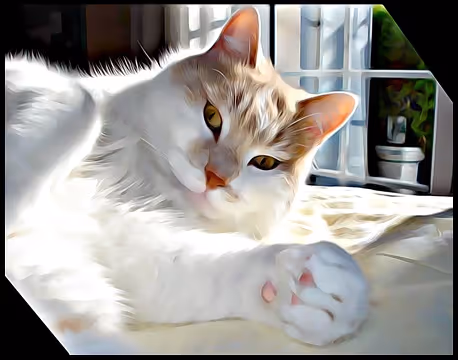 The fifty Cat Superheroes