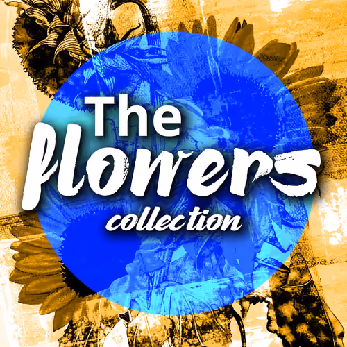 The Flowers Collections