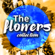 The Flowers Collections