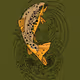 The Fly Fisherman