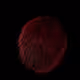 THE FUR EGG