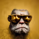 The GRUMPY GOLDEN APE Collection