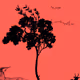 the jungl3