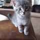 Linus