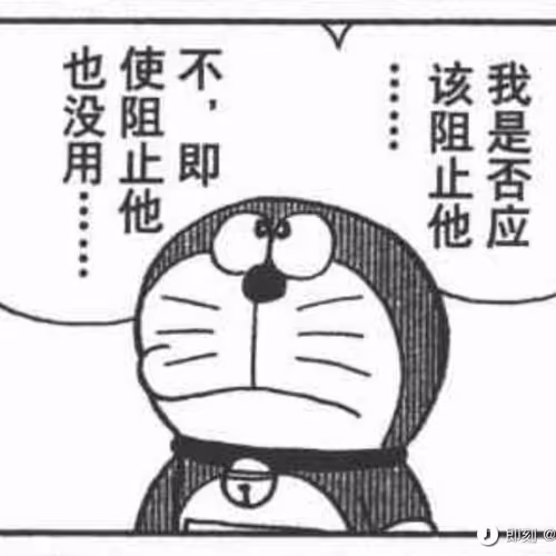 The light of the forest