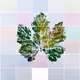 The magic leaf