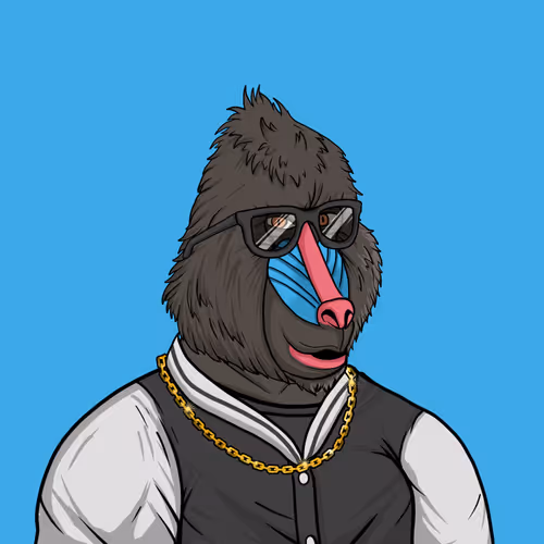 The Mandrill Colony