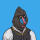 The Mandrill Colony