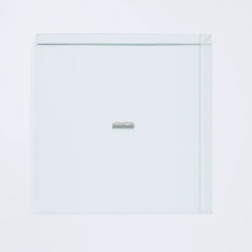 The Most Sh*ttiest NFT