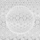 The New Circles