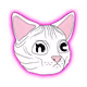 Fur Cats