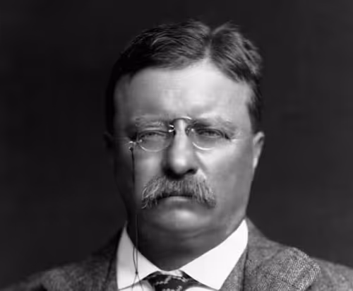 THEODORE ROOSEVELT QUOTES