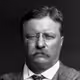 THEODORE ROOSEVELT QUOTES