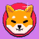 The Theory Of Shiba