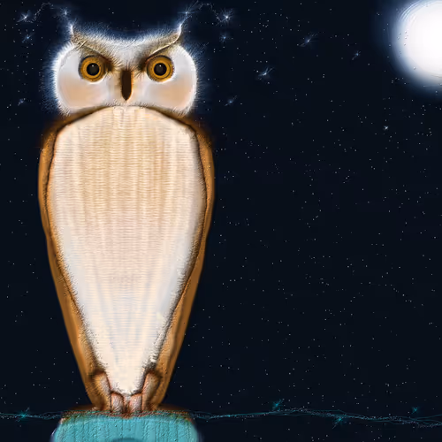 The owl looks at you - old