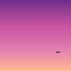 the.pink.hood