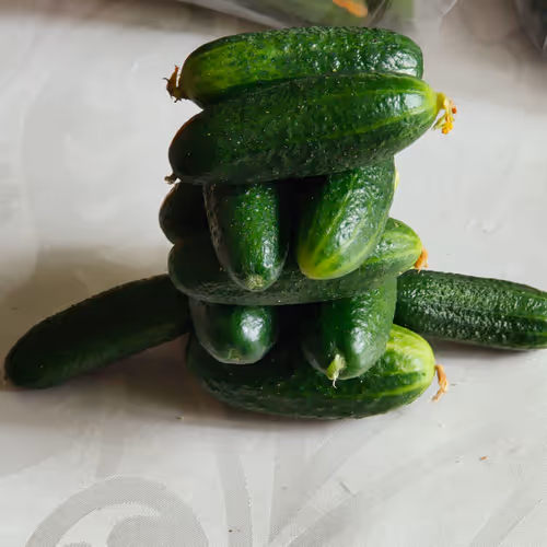 The Real Cucumbers