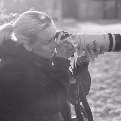 Reflections; The Return Of Light - old