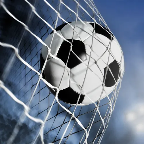THE REMARKABLE PLAYERS