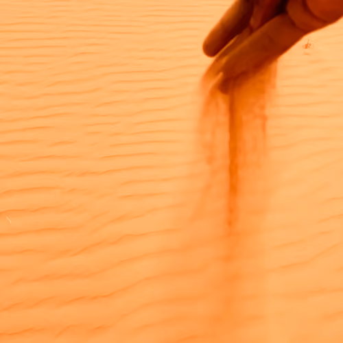 The sand dunes