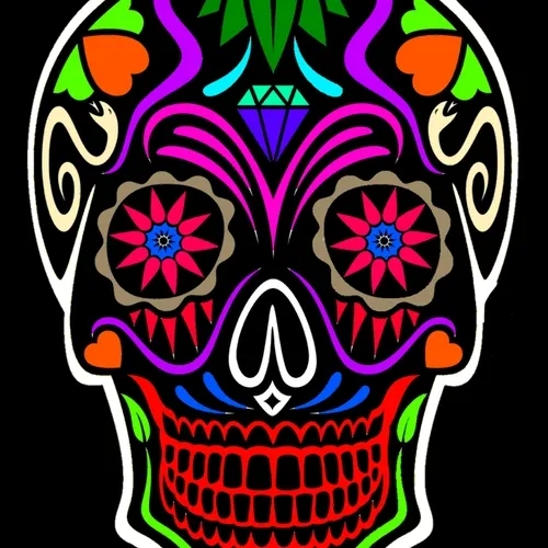 The Scull Collection YK