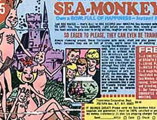 The Sea Monkeys