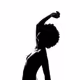 The Silhouete