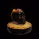 The Skull, The Beauty, The Skull