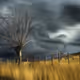 The Sorrowful Tree