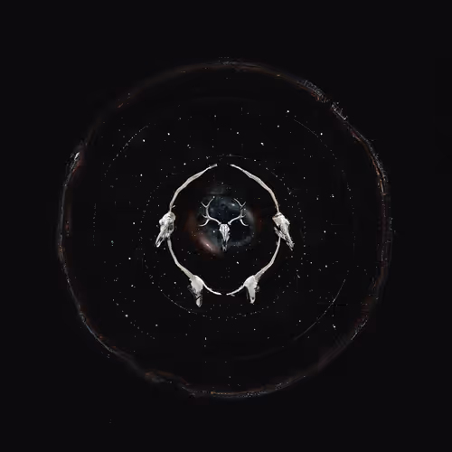 THE STARS ARE EYES AND THEY CAN SEE YOU