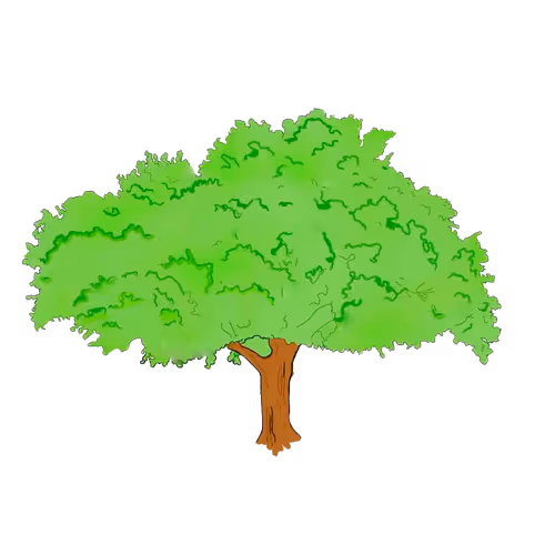 The cool tree collection