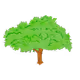 The cool tree collection