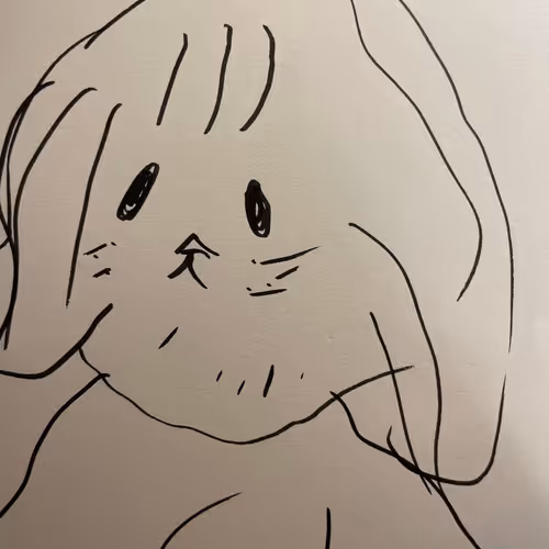 The Wabbit