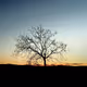 The witness of serenity