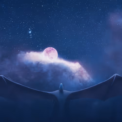 The Wizard's Universe