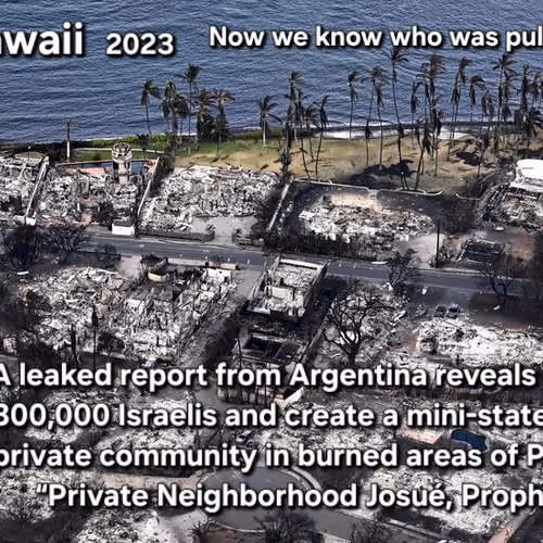 They plan to nuke themselves then invade by pity, The pattern is undeniable