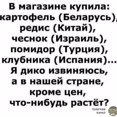 they understand what they are talking about'