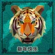 The Year of the Tiger
