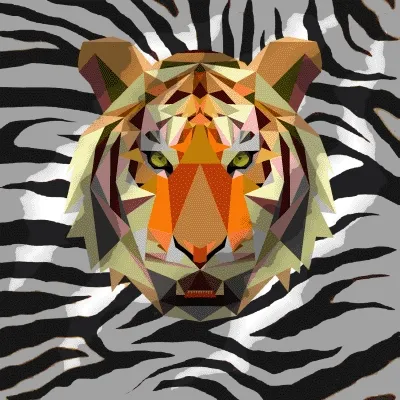 The Year of the Tiger