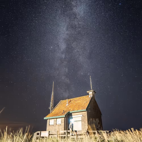 Thiago Bomfim Collection - old